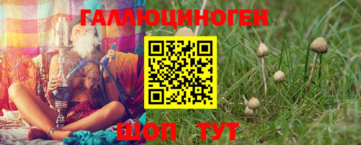 Трёхгорный  Галлюциногенные грибы Cubensis  Вход с VPN 
